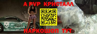 шишки Аргун