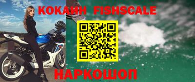 шишки Аргун