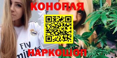 шишки Аргун