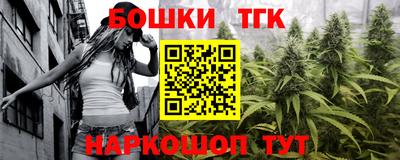 шишки Аргун