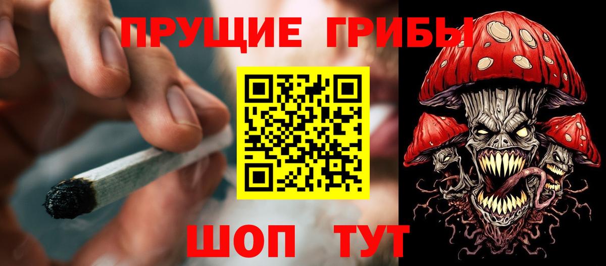 Галлюциногенные грибы мицелий Биробиджан